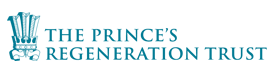 The Princess Regeneration logo