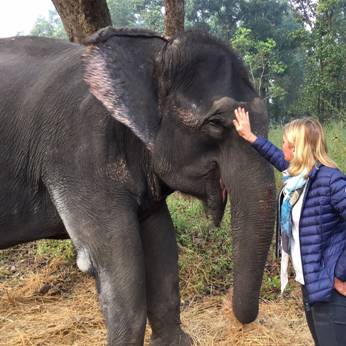 Residential Land is proud to support "Travels to My Elephant