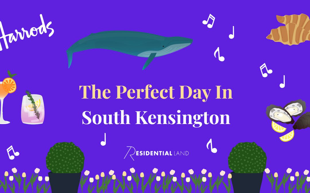 Illustrated collage of things to do in South Kensington